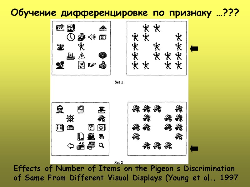 Обучение дифференцировке по признаку …??? Effects of Number of Items on the Pigeon's Discrimination